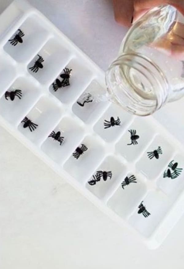 Spooky Indoor Halloween Decoration Ideas