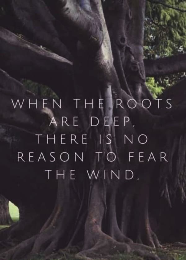 Ways To Build A Good Bonding With Your In-Laws