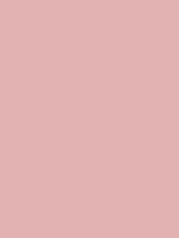 Champagne pink | Different Shades of Pink Color with Names