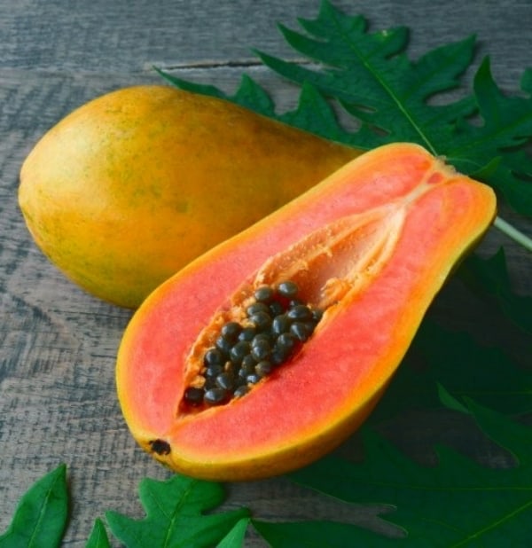 Papaya