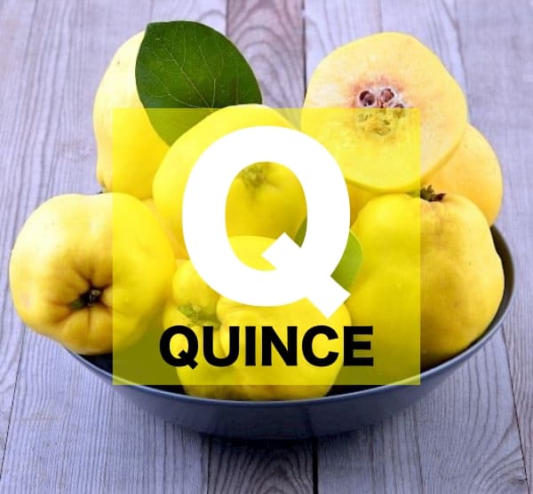 List of Fruits Names starts with Q