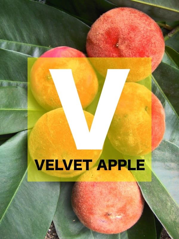 List of Fruits Names starts with V