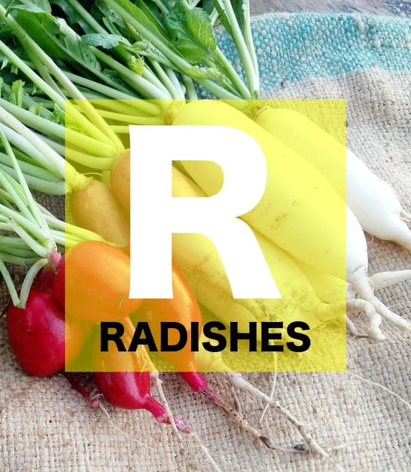 List of Vegetables Names starts with R